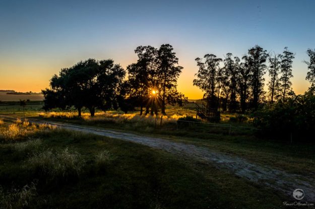 good morning Uruguay