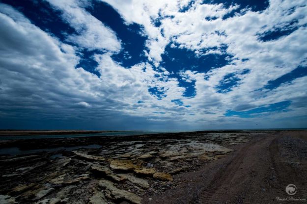 there's always a way out